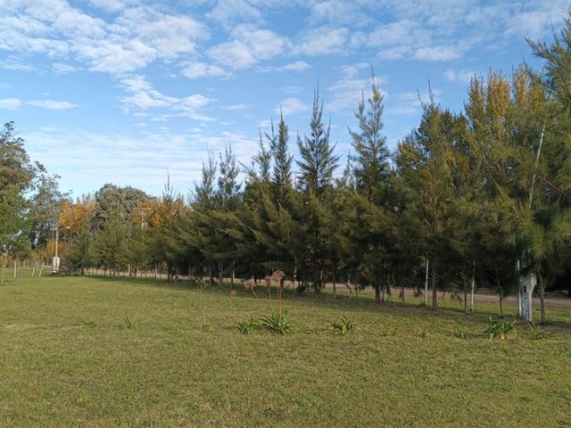 place photo 41