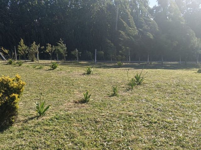 place photo 33