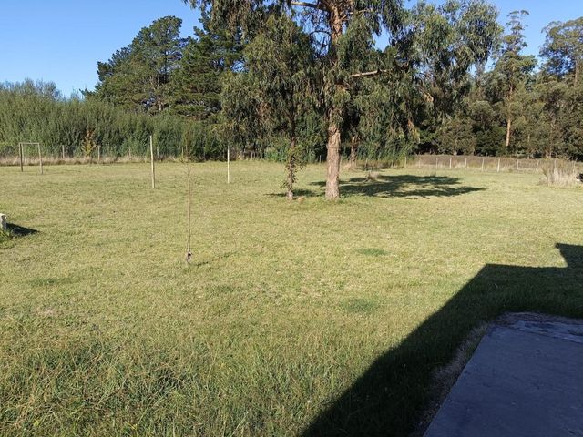 place photo 31