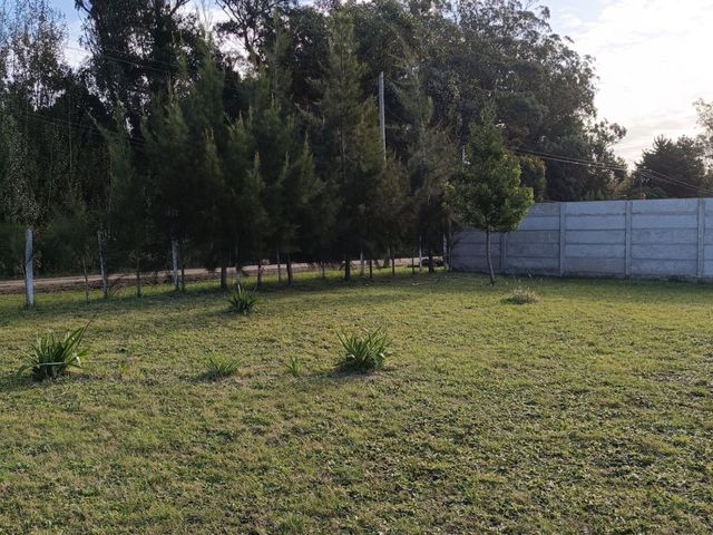 place photo 32