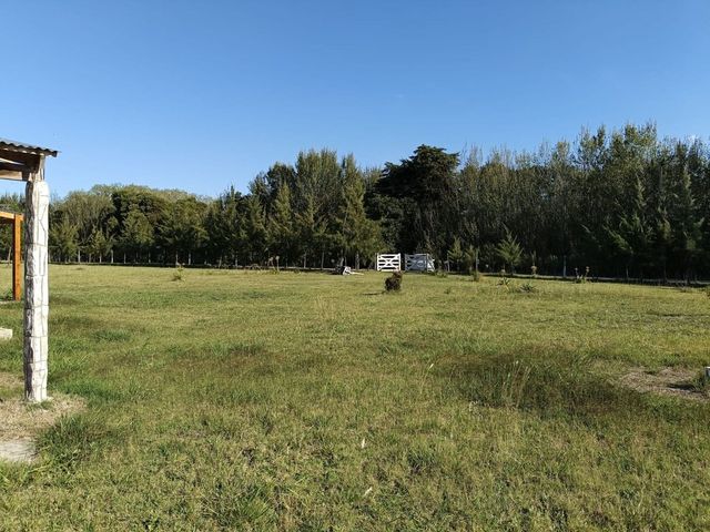 place photo 35