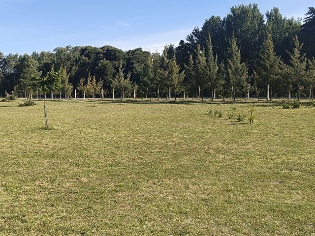 place photo 30