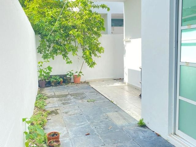 place photo 28