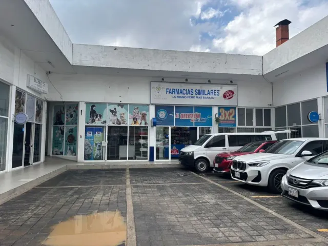 place photo 17