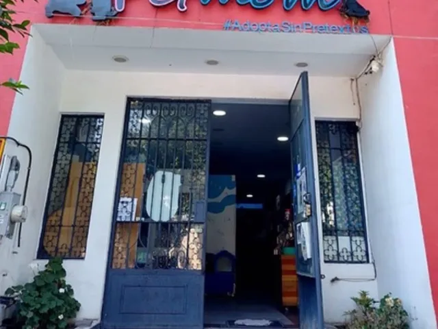 place photo 17