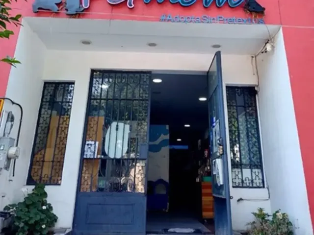 place photo 7