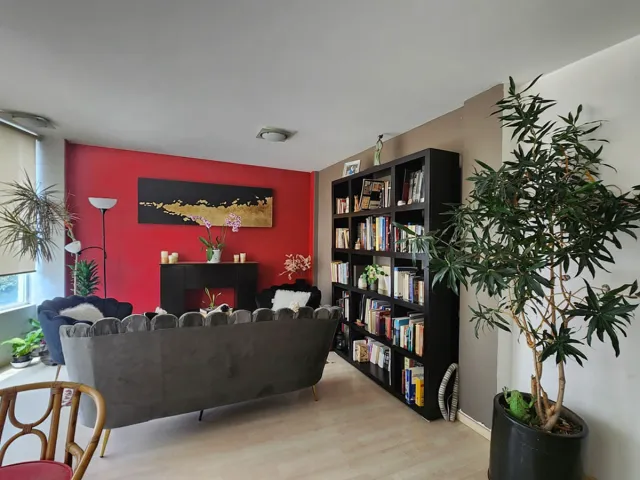 place photo 14
