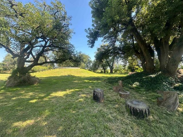 place photo 37