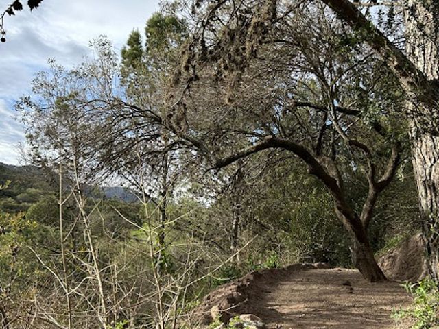 place photo 43