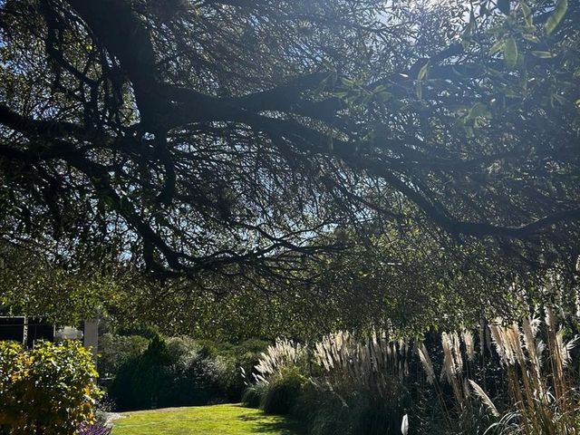 place photo 36
