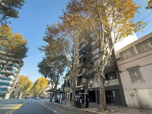 place photo 37