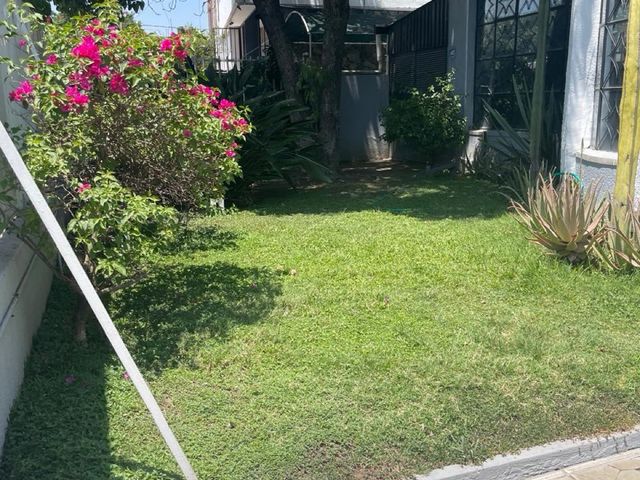 place photo 37