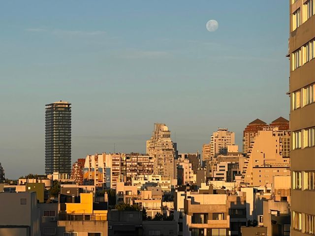 place photo 48