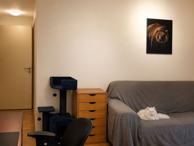 place photo 22