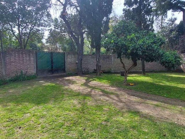 place photo 36