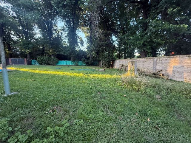 place photo 29