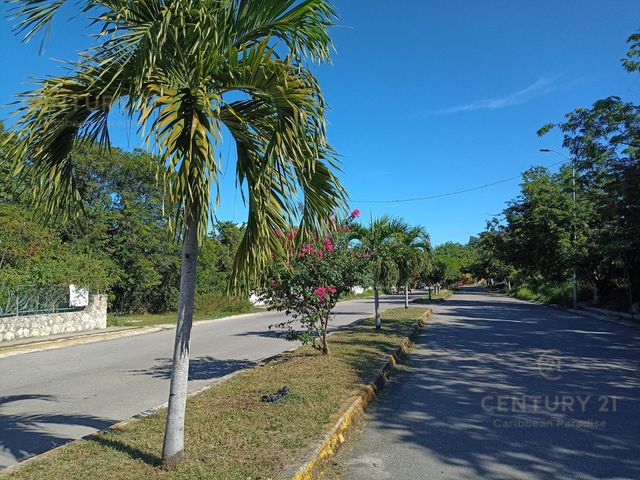 place photo 20