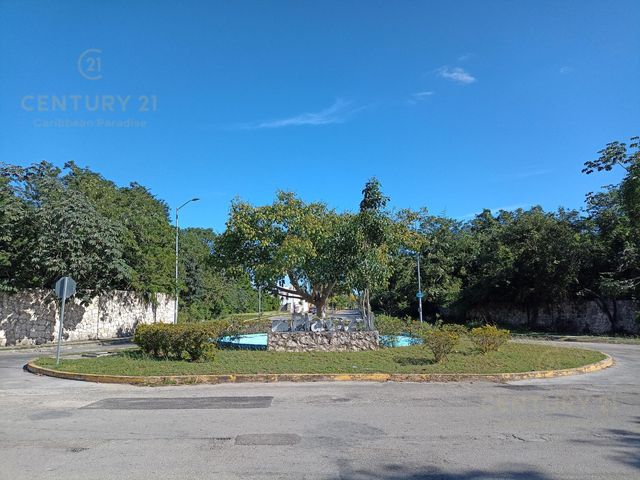 place photo 19