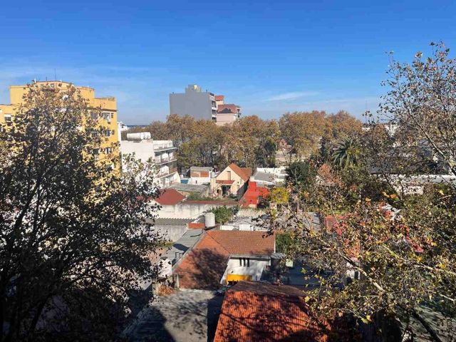 place photo 46
