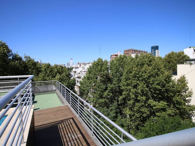 place photo 34