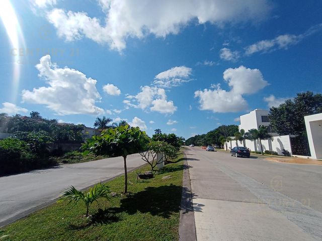 place photo 22