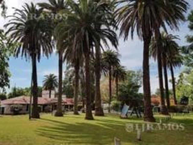 place photo 26
