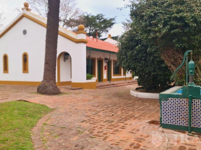 place photo 34