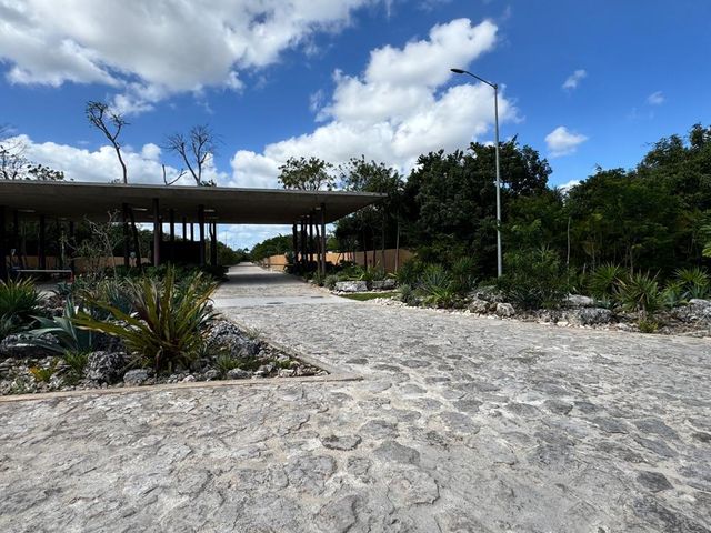 place photo 34