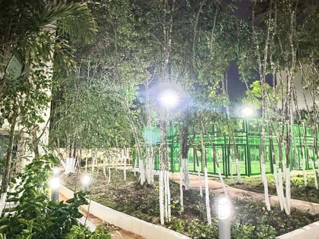 place photo 39
