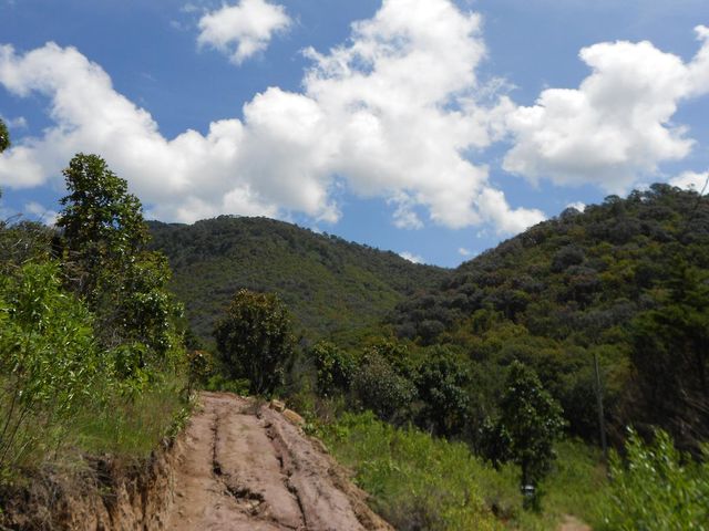 place photo 28
