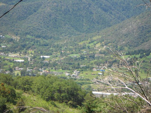 place photo 22