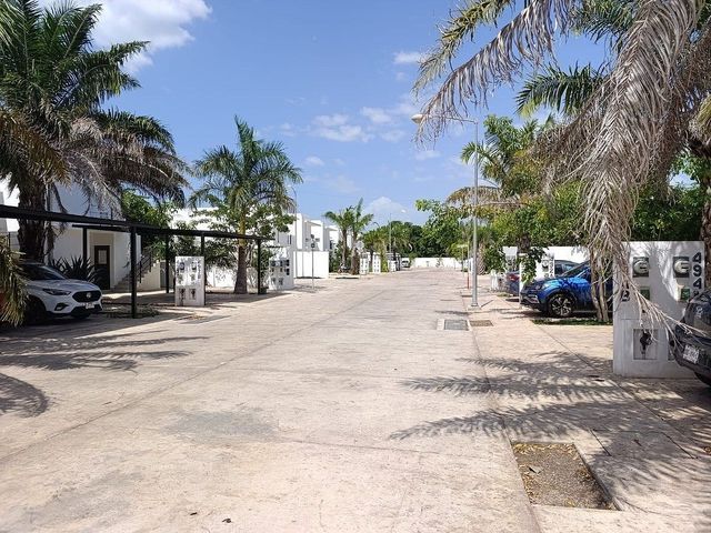 place photo 16