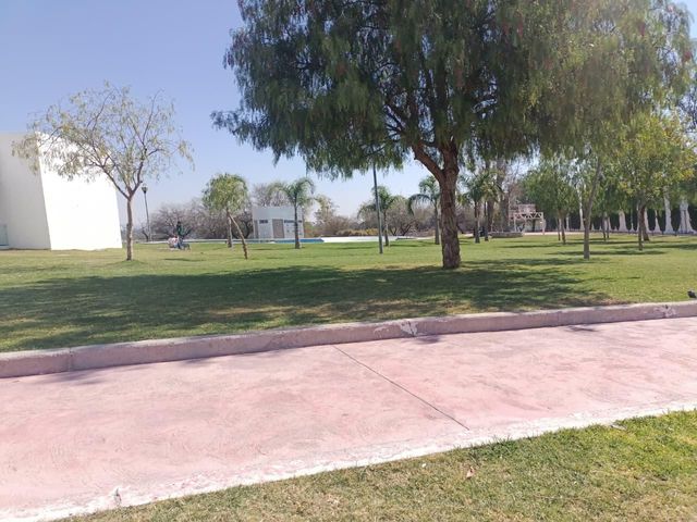 place photo 22