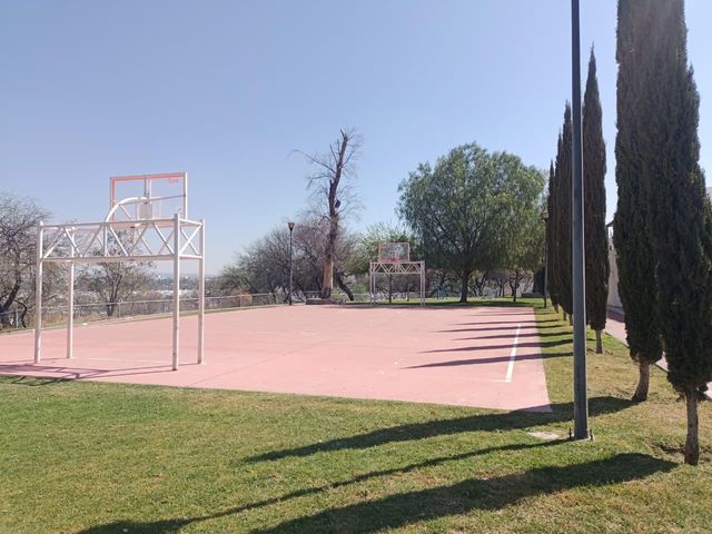 place photo 20