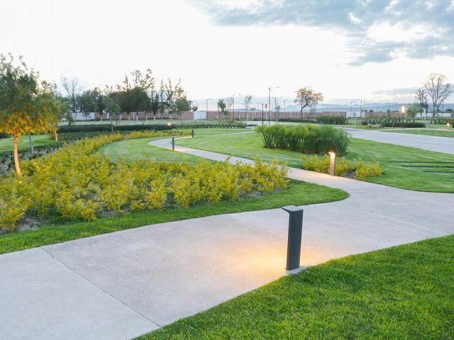 place photo 74