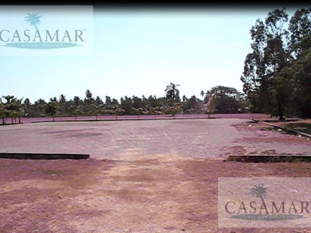 place photo 16
