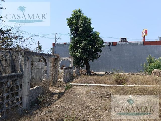 place photo 12