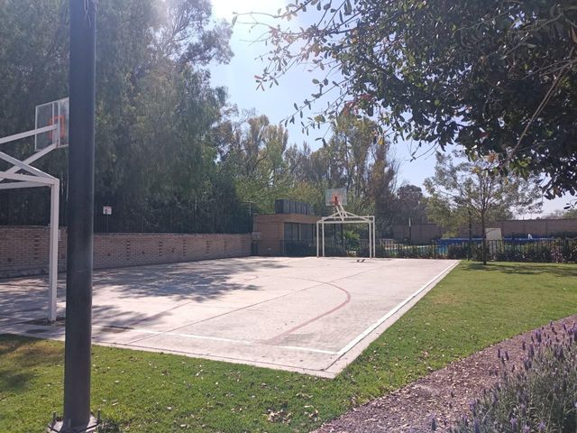 place photo 29