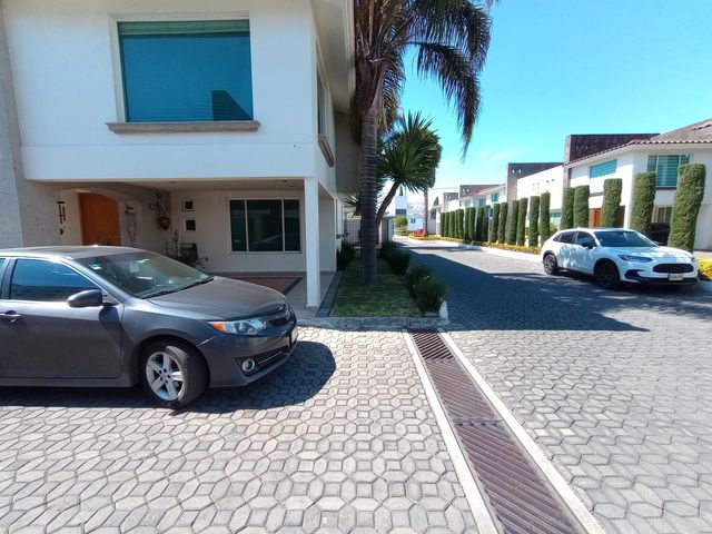 place photo 45