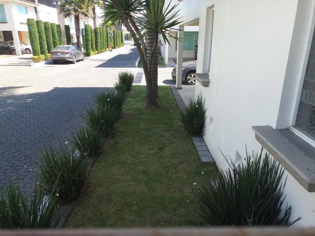 place photo 40