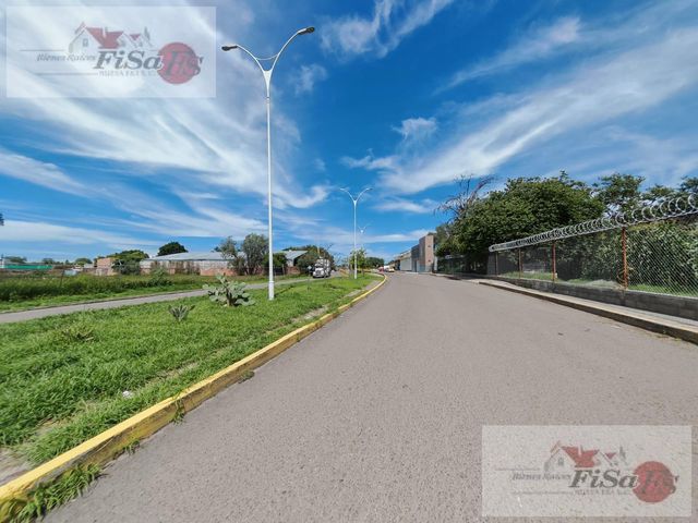 place photo 14
