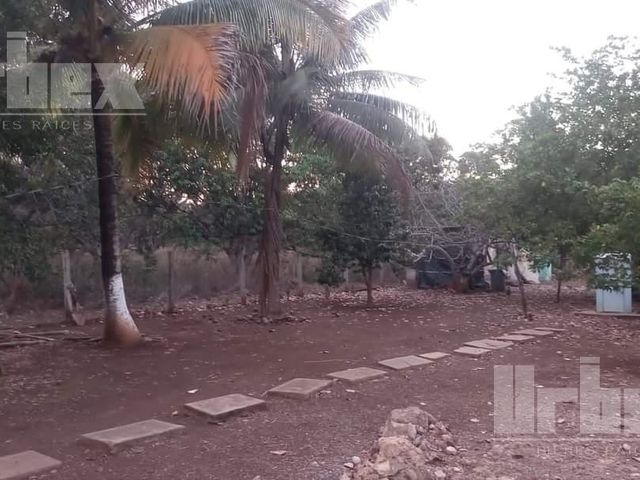 place photo 18