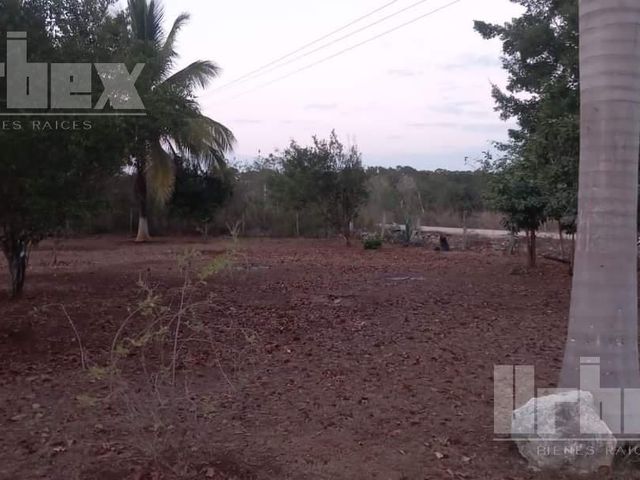 place photo 19