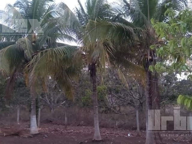place photo 22