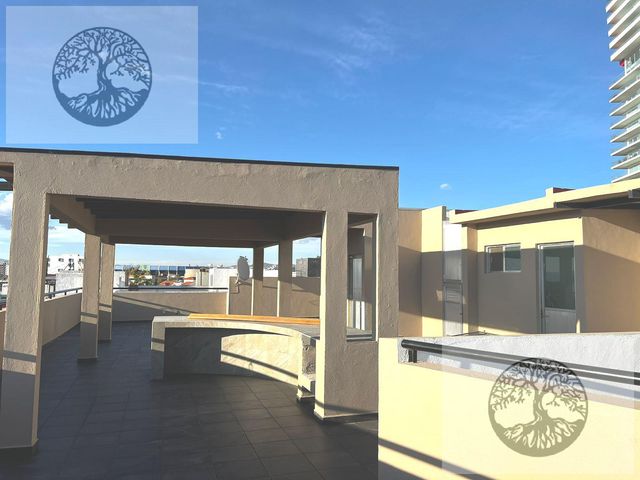 place photo 47