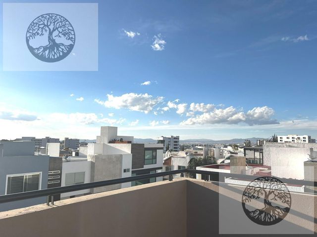 place photo 48