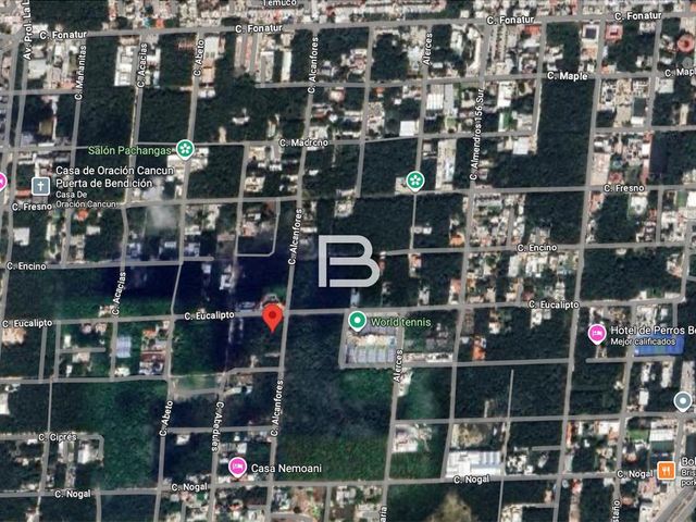 place photo 3