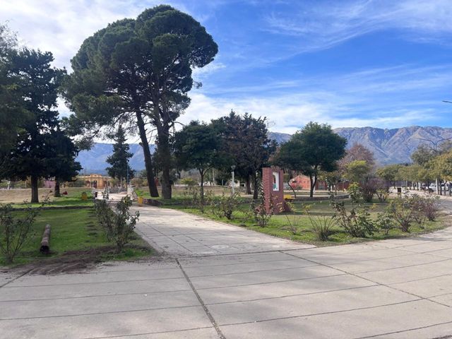 place photo 16