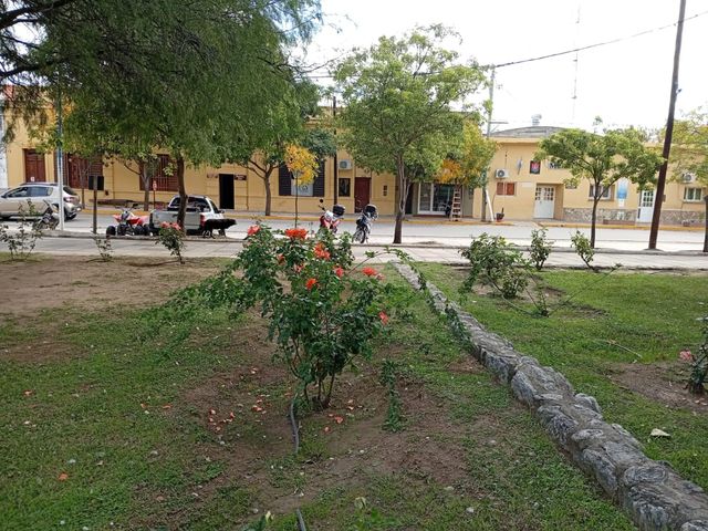 place photo 14