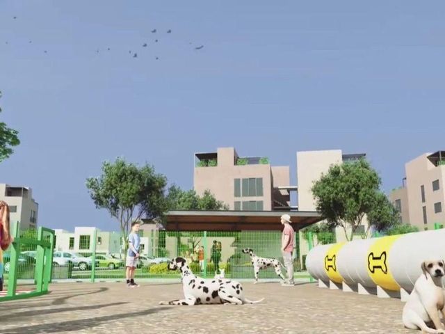 place photo 29